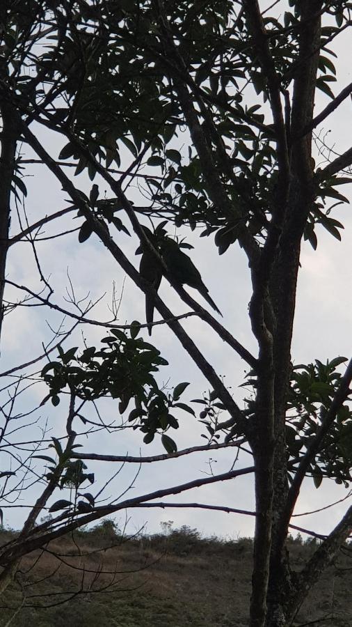 Vale Das Maritacas Teresopolis Villa ภายนอก รูปภาพ