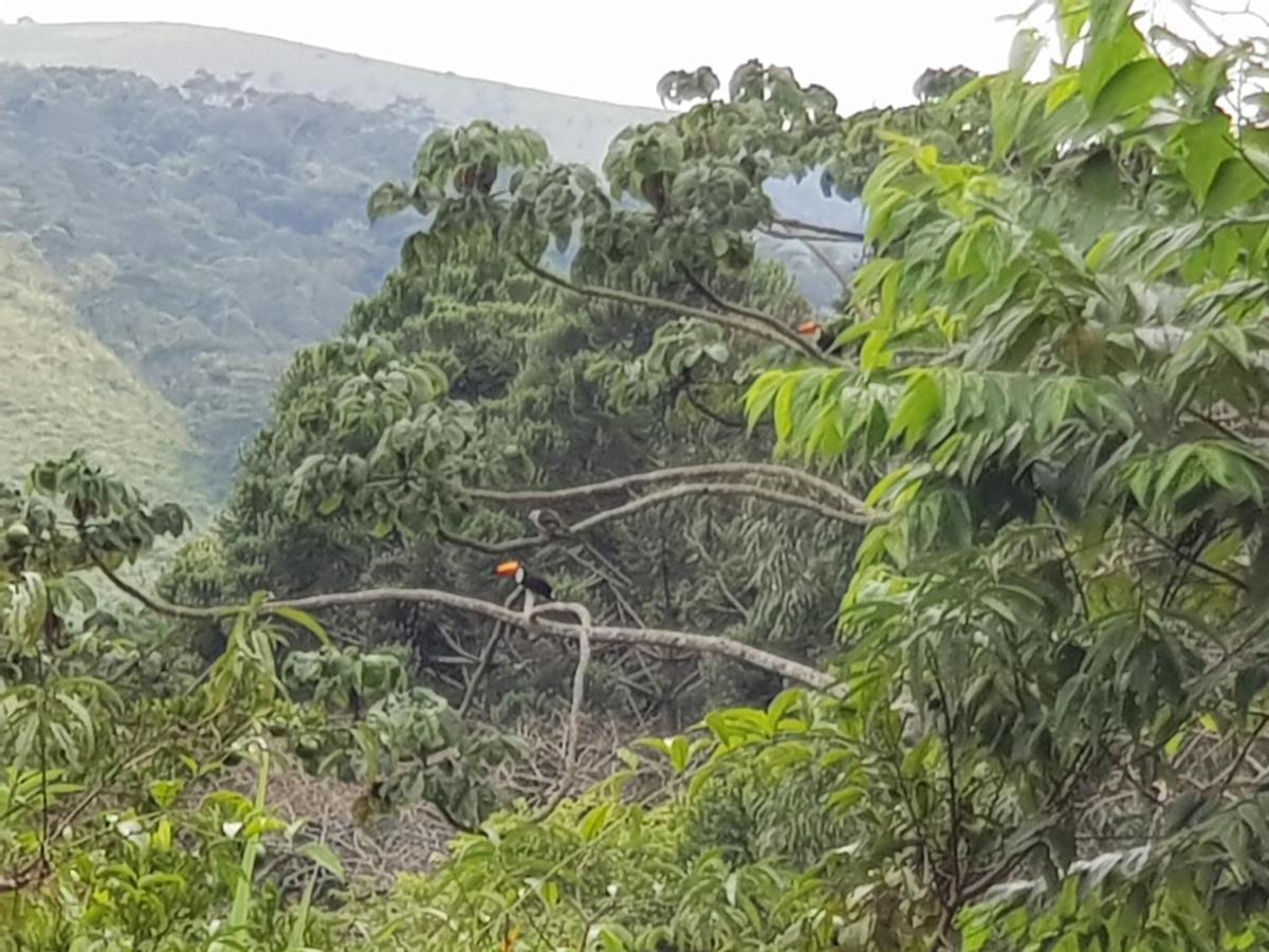 Vale Das Maritacas Teresopolis Villa ภายนอก รูปภาพ
