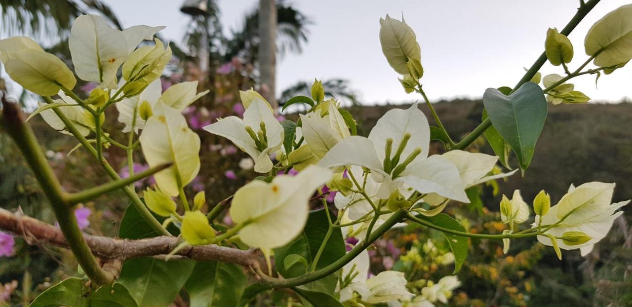 Vale Das Maritacas Teresopolis Villa ภายนอก รูปภาพ
