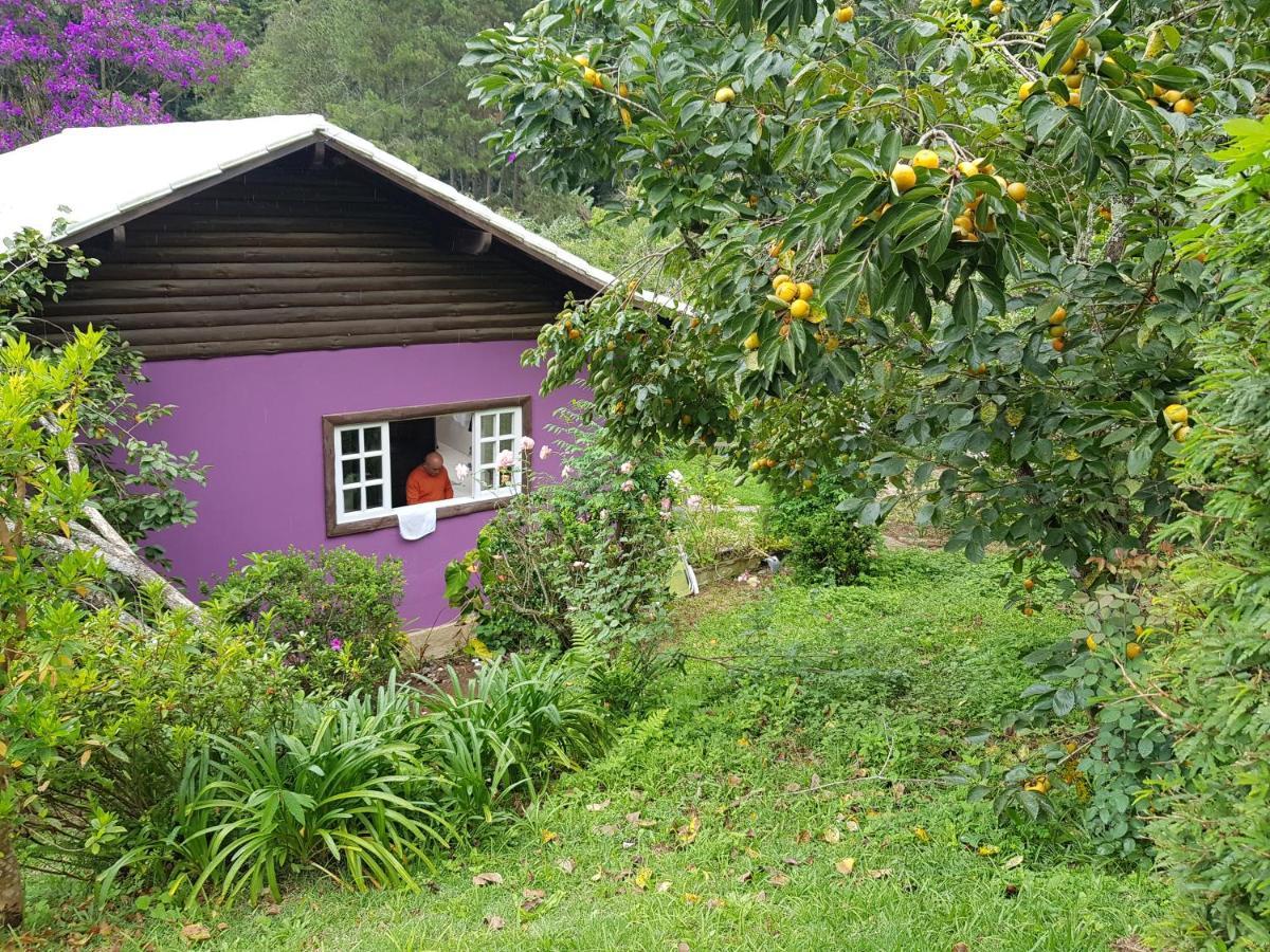 Vale Das Maritacas Teresopolis Villa ภายนอก รูปภาพ