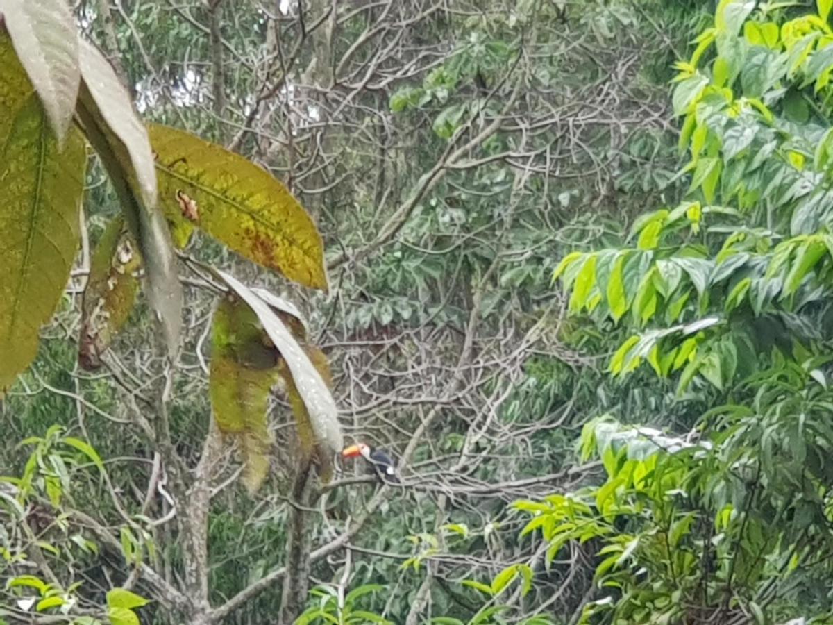 Vale Das Maritacas Teresopolis Villa ภายนอก รูปภาพ
