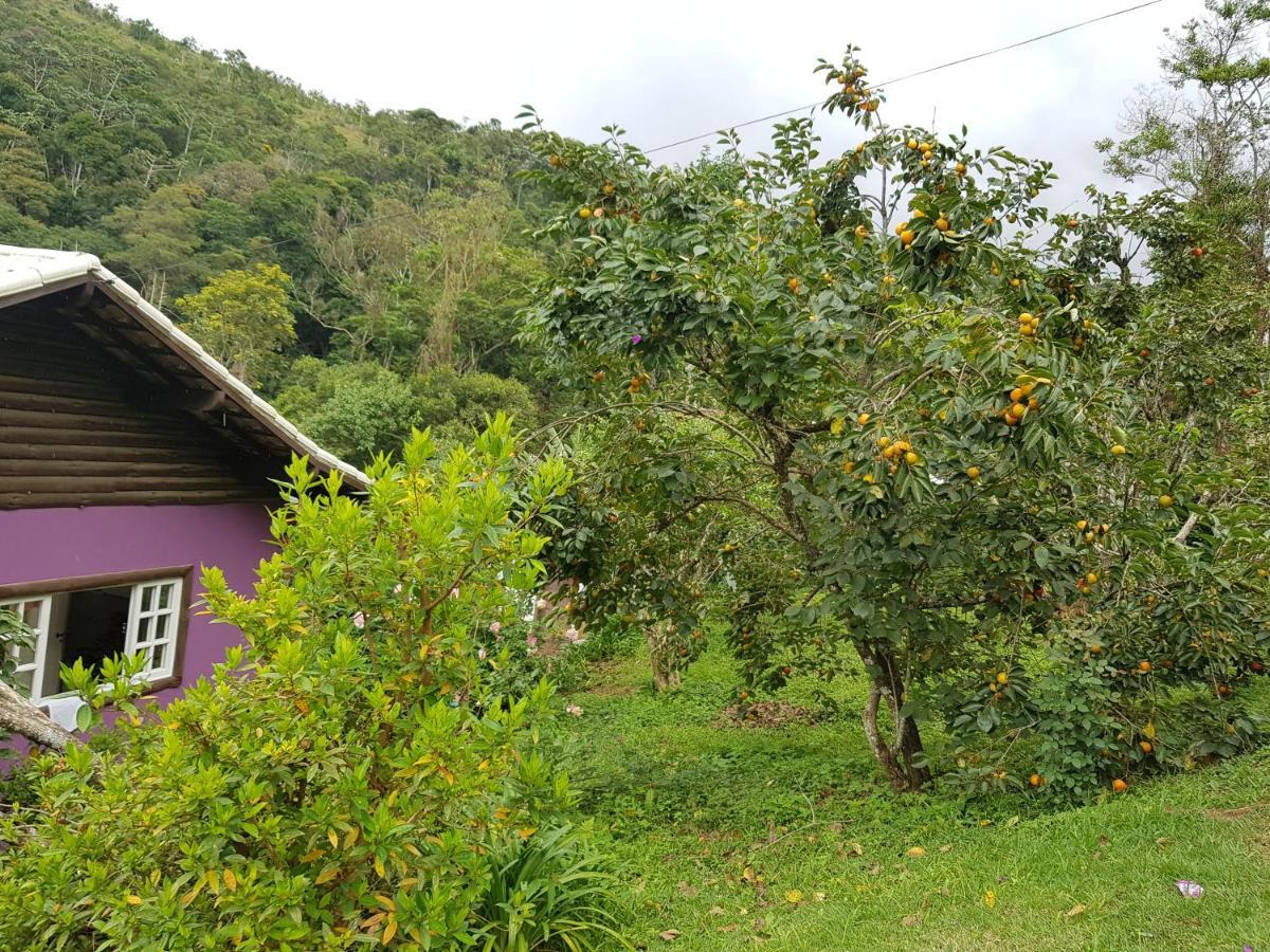 Vale Das Maritacas Teresopolis Villa ภายนอก รูปภาพ